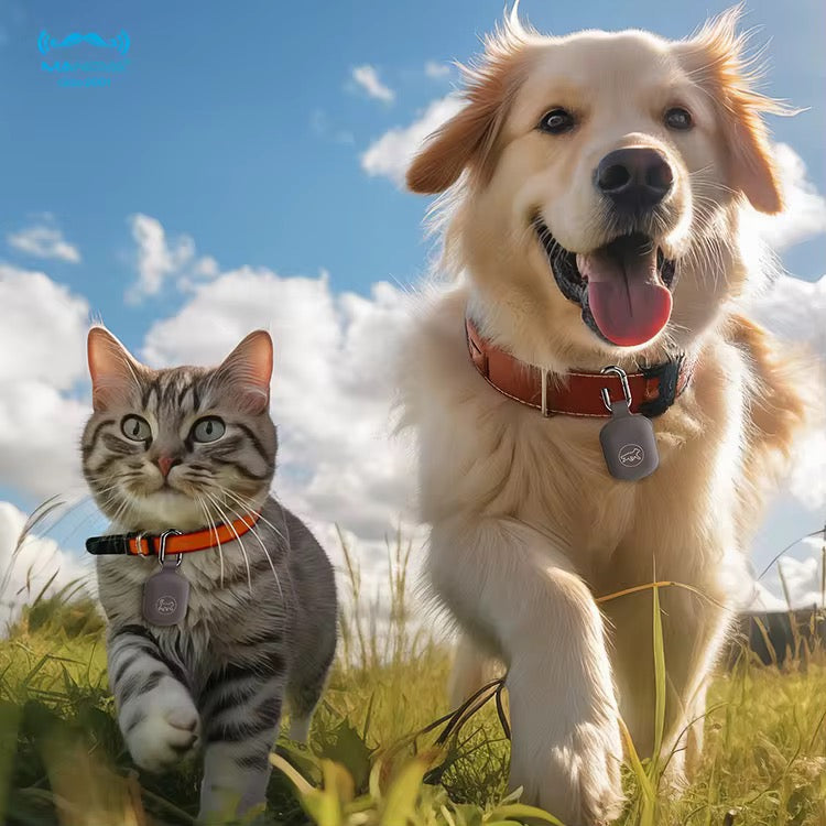 NexaTag Animal Tracker